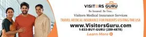 Visitors-Guru-970x250_2-for-Website-1-300x77